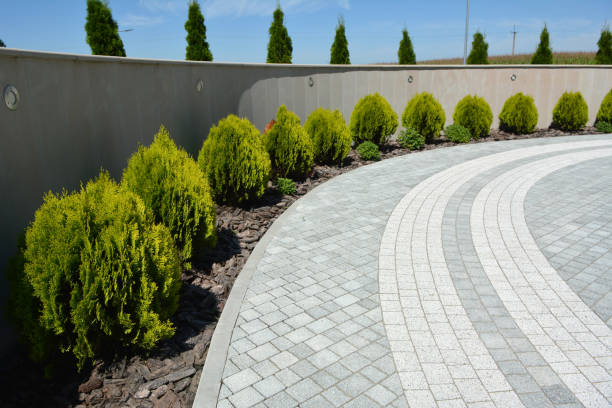 Best Driveway Pavers Near Me  in Westby, WI